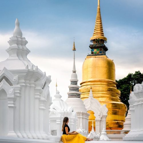 8ebfb73e319b56e7ea5fc13c38f11f0b-500x500 8ebfb73e319b56e7ea5fc13c38f11f0b-500x500