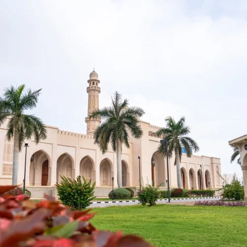 934bb752-2488-4bfd-aa3f-3b944fc20acb-500x500 934bb752-2488-4bfd-aa3f-3b944fc20acb-500x500