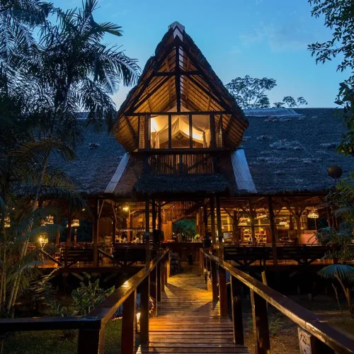 975f064a5b8debd8c481ede87dc645e2-500x500 975f064a5b8debd8c481ede87dc645e2-500x500