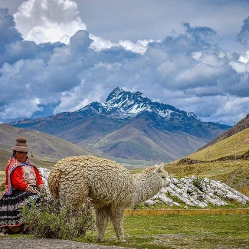 Abra-La-Raya-500x500 Abra-La-Raya-500x500