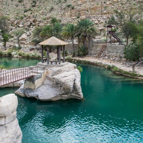 DSC9703-500x500 DSC9703-500x500