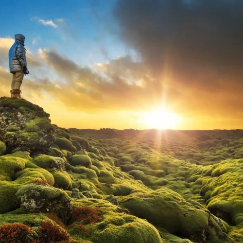 Eldhraun-lava-fields-9-scaled-1-500x500 Eldhraun-lava-fields-9-scaled-1-500x500