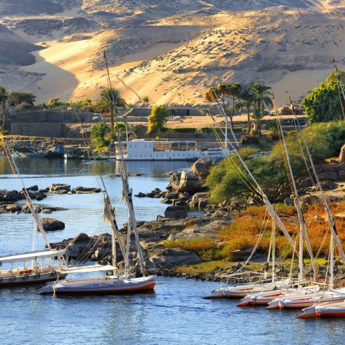 GettyImages-465683519_full-scaled-500x500 GettyImages-465683519_full-scaled-500x500