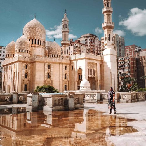 IMG_3634-2-1440x1800-1-500x500 IMG_3634-2-1440x1800-1-500x500