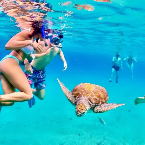 Jeddah-Red-Sea-Snorkeling-2-500x500 Jeddah-Red-Sea-Snorkeling-2-500x500