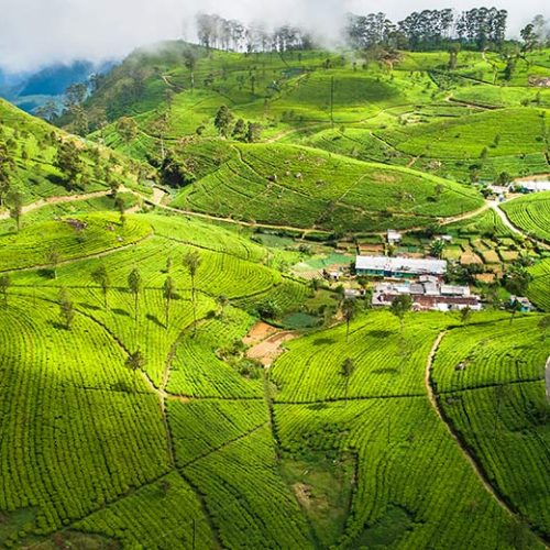 LSL_B2_Haputale_800x520-500x500 LSL_B2_Haputale_800x520-500x500