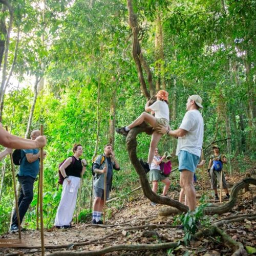 MG_0822-845x684-1-500x500 MG_0822-845x684-1-500x500