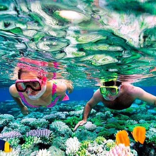 Snorkelers_2-500x500 Snorkelers_2-500x500