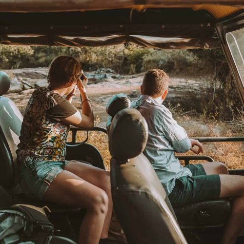 Udawalawe-or-Yala-national-park-500x500 Udawalawe-or-Yala-national-park-500x500