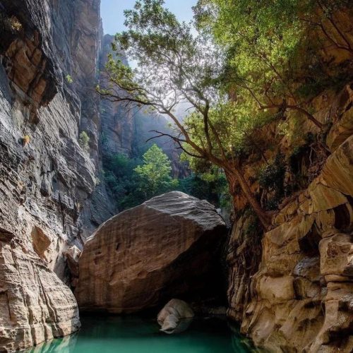 ab4d3678b4a1f831fcca962eb99a0f99-500x500 ab4d3678b4a1f831fcca962eb99a0f99-500x500