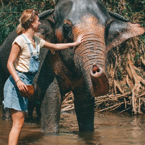 ad809fd28aaf37e6012eb03788aff34f-500x500 ad809fd28aaf37e6012eb03788aff34f-500x500