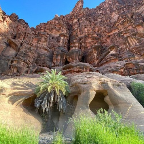 al_disah_valley-500x500 al_disah_valley-500x500
