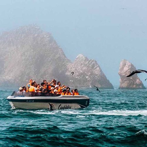 ballestas-islands-tour-500x500 ballestas-islands-tour-500x500