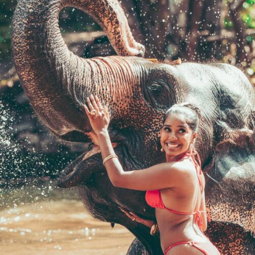 bcc56bc087c3ebfc2bf045439f697e2c-820x1024 bcc56bc087c3ebfc2bf045439f697e2c-820x1024