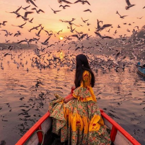 d642ba1ec11b98872bccf0d8549caed0-500x500 d642ba1ec11b98872bccf0d8549caed0-500x500