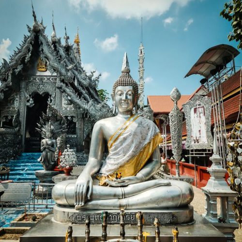 d64ff7b02e8c6e13b85037be7072b1cd-500x500 d64ff7b02e8c6e13b85037be7072b1cd-500x500