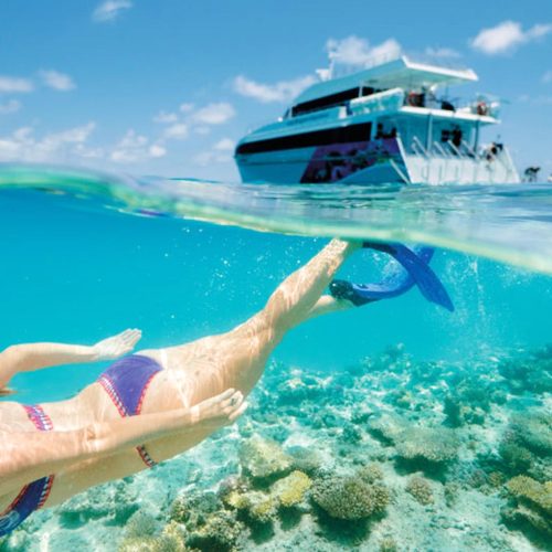 daimaniyat8-500x500 daimaniyat8-500x500