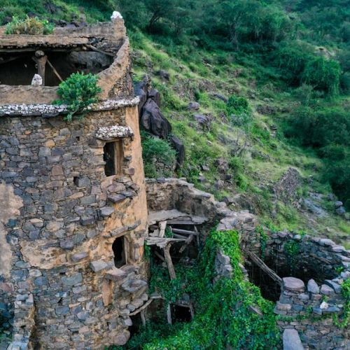 download-2-500x500 download-2-500x500