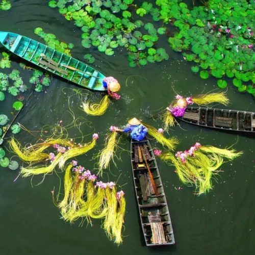 du-lich-mien-tay-1_1-500x500 du-lich-mien-tay-1_1-500x500