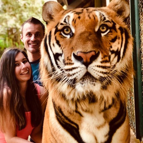 e23640e68d5d8a87bf03cda24245434b-500x500 e23640e68d5d8a87bf03cda24245434b-500x500