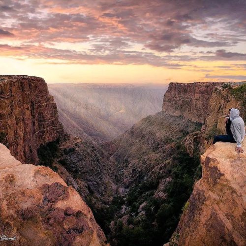 e6e628e5-5eb5-44c8-a0d9-11d835febef2_lg-500x500 e6e628e5-5eb5-44c8-a0d9-11d835febef2_lg-500x500