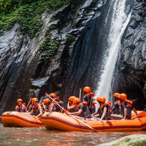 f00ce1ed8928aedd-copy-500x500 f00ce1ed8928aedd-copy-500x500