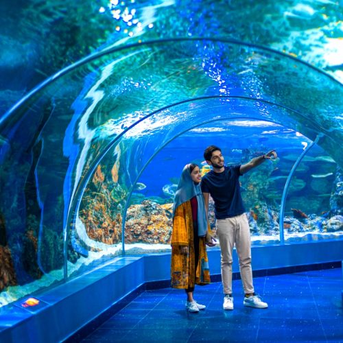 jeddah-explore-fakieh-aquarium-500x500 jeddah-explore-fakieh-aquarium-500x500
