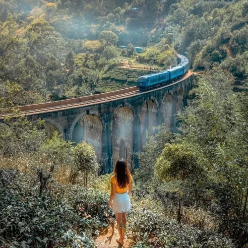 n8k5q83yn3q31-500x500 n8k5q83yn3q31-500x500