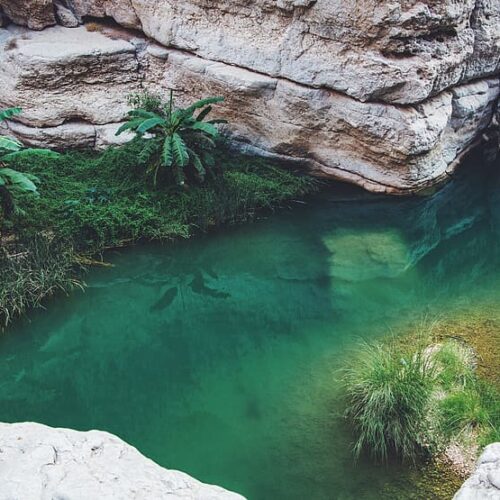 oman-wadi-ash-shab-1-500x500-1 (1) oman-wadi-ash-shab-1-500x500-1 (1)