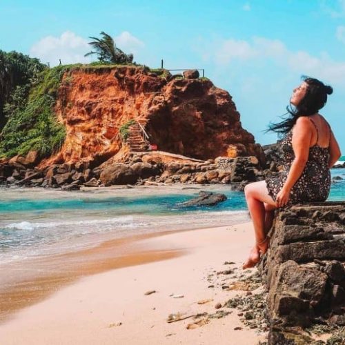 parrotrock-8-of-9-scaled-689x517-1-500x500 parrotrock-8-of-9-scaled-689x517-1-500x500