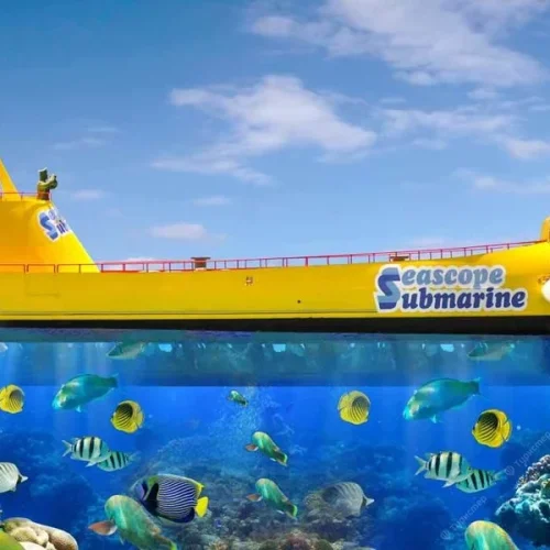 seascope-submarine-2-500x500 seascope-submarine-2-500x500