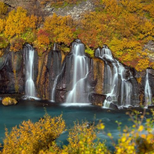 shutterstock_648787624-1024x683-1-500x500 shutterstock_648787624-1024x683-1-500x500