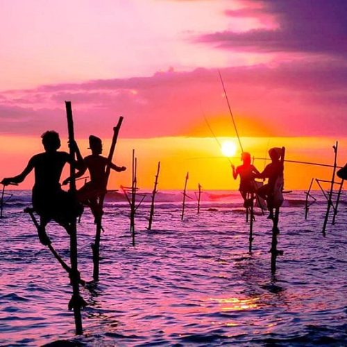 stilt-fishing-500x500 stilt-fishing-500x500