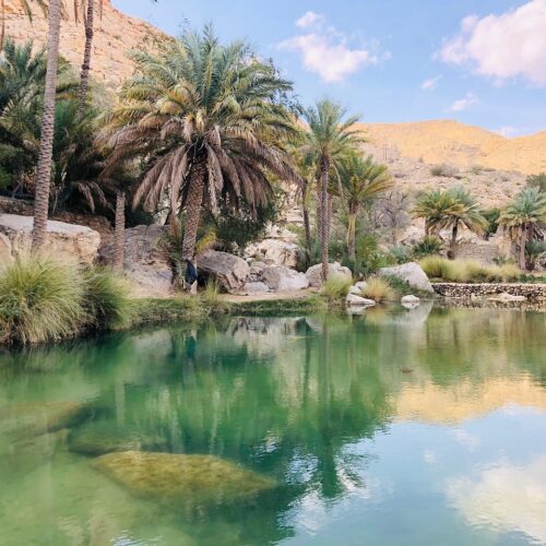 wadi-5377073_1280 wadi-5377073_1280