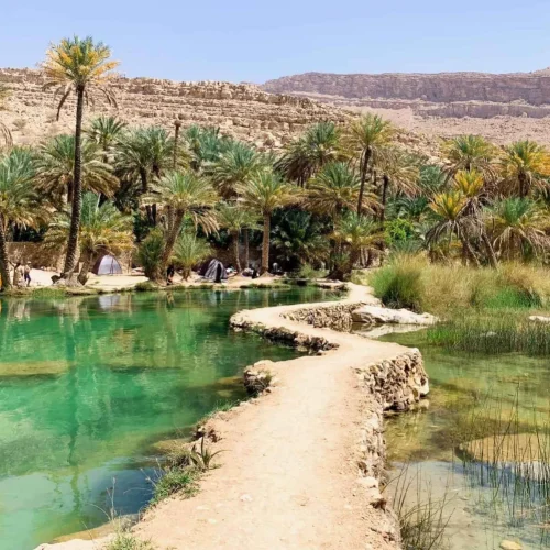 wahiba-sands-desert-wadi-bani-khalid-4765821-500x500 wahiba-sands-desert-wadi-bani-khalid-4765821-500x500