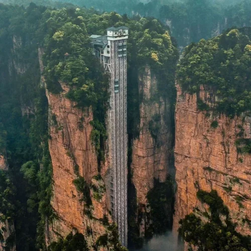 wg9o1gdl91241-500x500 wg9o1gdl91241-500x500