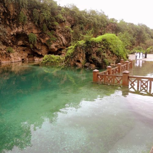 خلفية22-500x500 خلفية22-500x500