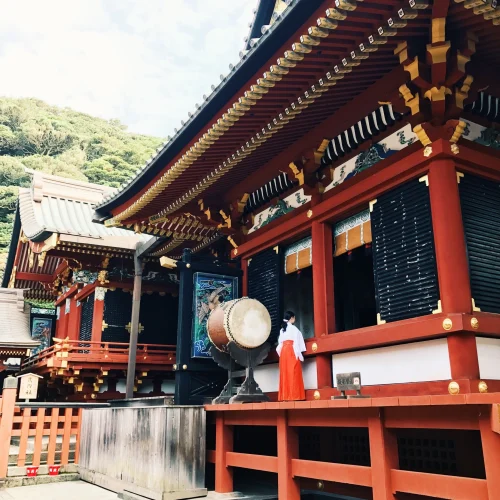 094ae60c846e4c6190b65c56503a0aea-500x500 094ae60c846e4c6190b65c56503a0aea-500x500