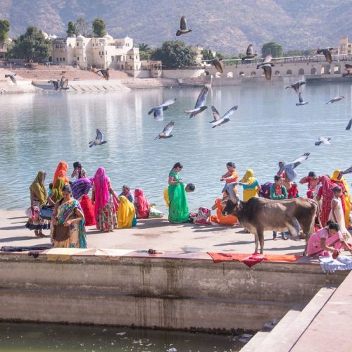 1054b499b8e8021df8f7f84e76ba7dc2-500x500 1054b499b8e8021df8f7f84e76ba7dc2-500x500