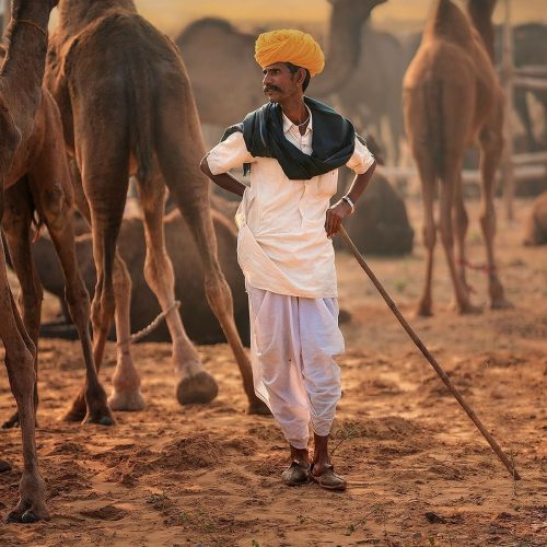 13915d9b9136ca8ecae8a5a14f9d424c-500x500 13915d9b9136ca8ecae8a5a14f9d424c-500x500