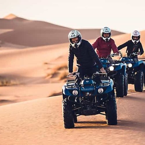 146-11-500x500 146-11-500x500