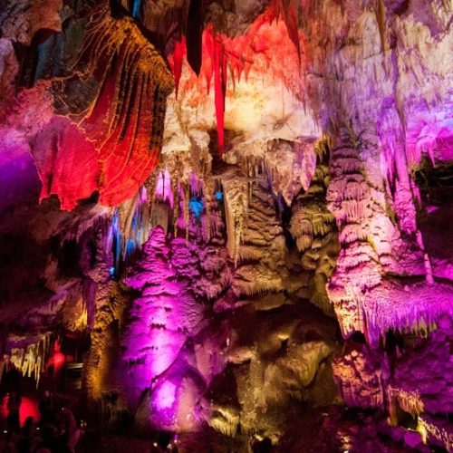 1932d800-b880-4ee7-8638-f2f5c435edf1-500x500 1932d800-b880-4ee7-8638-f2f5c435edf1-500x500