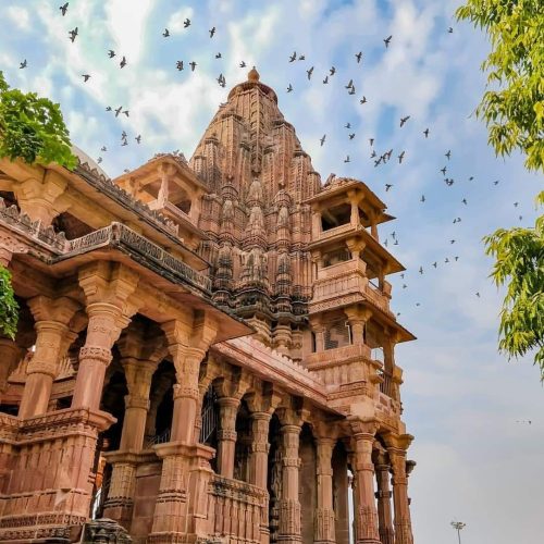 2008c6012ffa333c8d6c760ca92263d8-500x500 2008c6012ffa333c8d6c760ca92263d8-500x500