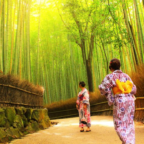 20220324102644_623ca9d4a02b6-500x500 20220324102644_623ca9d4a02b6-500x500