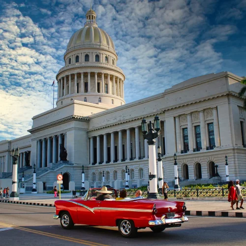 2146_6136-500x500 2146_6136-500x500