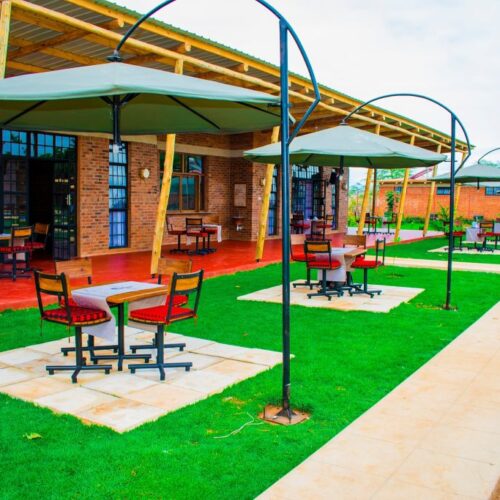 225556990_108931131487984_9042262894083754622_n-1024x683 225556990_108931131487984_9042262894083754622_n-1024x683