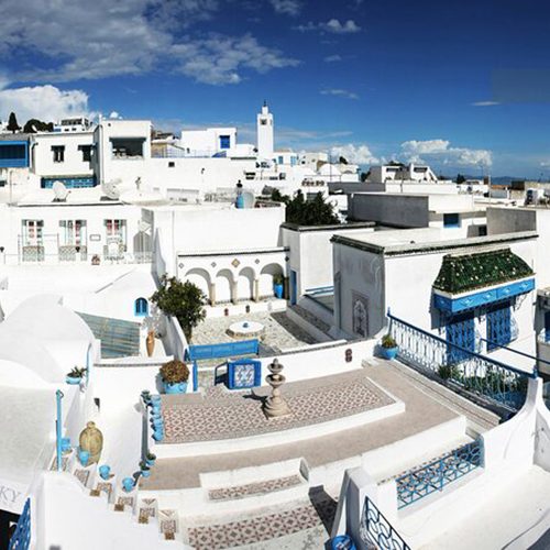 26-1-500x500 26-1-500x500