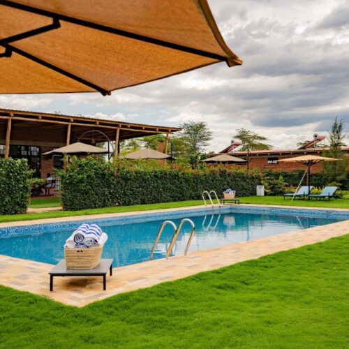 271424184_225651559749459_3340676222700103800_n-1024x683 271424184_225651559749459_3340676222700103800_n-1024x683