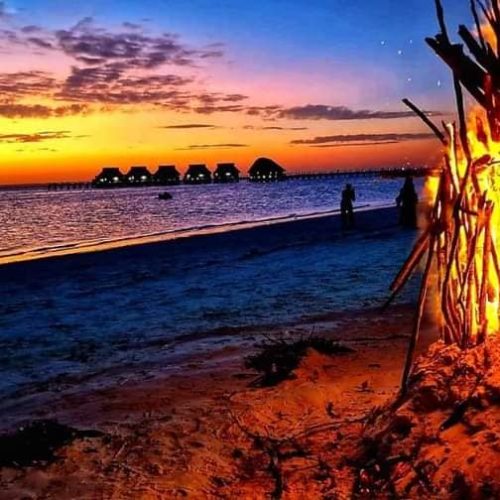 294837408_10159228816304862_1664431493937366452_n-500x500 294837408_10159228816304862_1664431493937366452_n-500x500