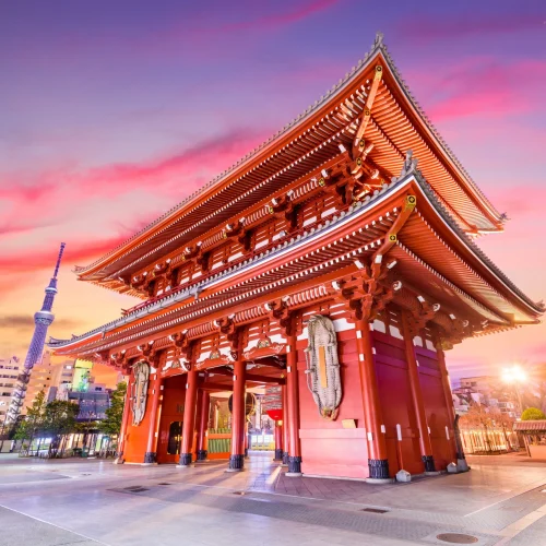 2cb04e01287e3732df1f409619bacee5-scaled-500x500 2cb04e01287e3732df1f409619bacee5-scaled-500x500